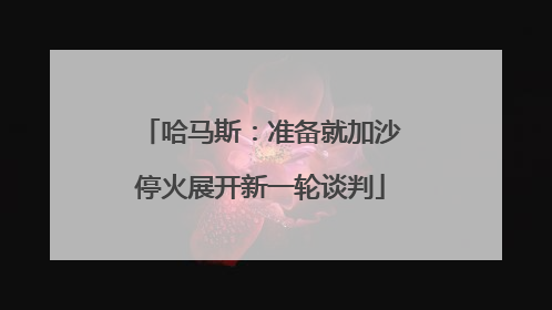 哈马斯：准备就加沙停火展开新一轮谈判