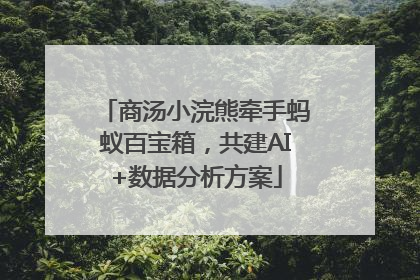 商汤小浣熊牵手蚂蚁百宝箱，共建AI+数据分析方案