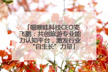嗯噢哇科技CEO窦飞鹏：共创旅游专业能力认知平台，激发行业“自生长”力量