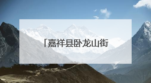 嘉祥县卧龙山街道开展“爱心粽香到万家 暖心端午送安康” “五为”志愿服务活动