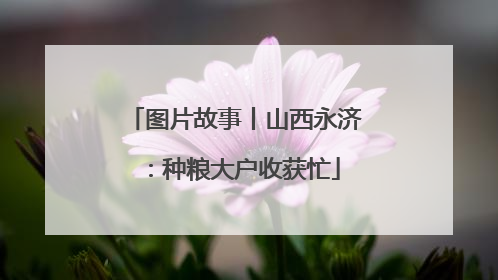 图片故事丨山西永济：种粮大户收获忙