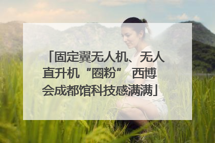 固定翼无人机、无人直升机“圈粉” 西博会成都馆科技感满满