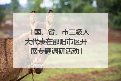 国、省、市三级人大代表在邵阳市区开展专题调研活动