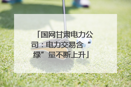 国网甘肃电力公司：电力交易含“绿”量不断上升