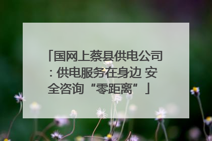 国网上蔡县供电公司：供电服务在身边 安全咨询“零距离”