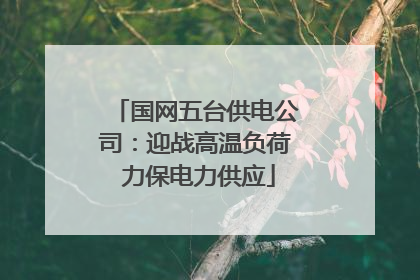 国网五台供电公司：迎战高温负荷 力保电力供应