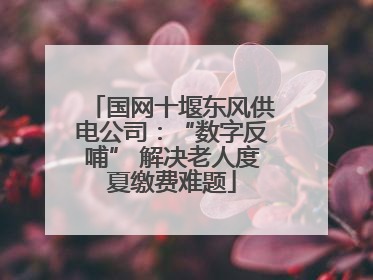 国网十堰东风供电公司：“数字反哺” 解决老人度夏缴费难题