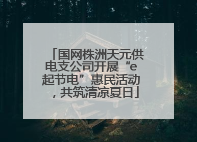 国网株洲天元供电支公司开展“e起节电”惠民活动，共筑清凉夏日