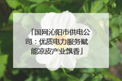 国网沁阳市供电公司：优质电力服务赋能凉皮产业飘香
