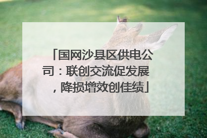 国网沙县区供电公司：联创交流促发展，降损增效创佳绩