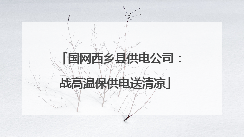国网西乡县供电公司：战高温保供电送清凉