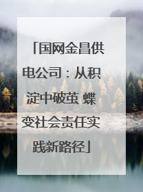 国网金昌供电公司：从积淀中破茧 蝶变社会责任实践新路径