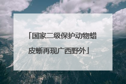 国家二级保护动物蜡皮蜥再现广西野外