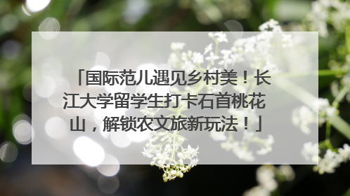 国际范儿遇见乡村美！长江大学留学生打卡石首桃花山，解锁农文旅新玩法！