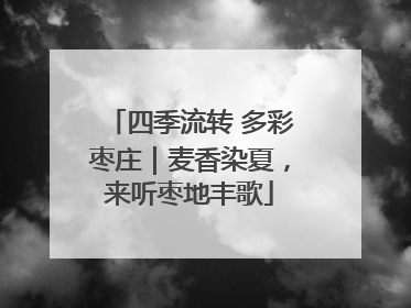四季流转 多彩枣庄｜麦香染夏，来听枣地丰歌