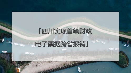 四川实现首笔财政电子票据跨省报销