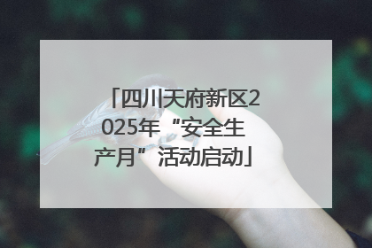 四川天府新区2025年“安全生产月”活动启动