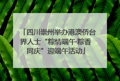 四川崇州举办港澳侨台界人士“粽情端午·粽香同庆”迎端午活动