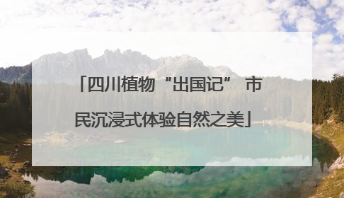 四川植物“出国记” 市民沉浸式体验自然之美