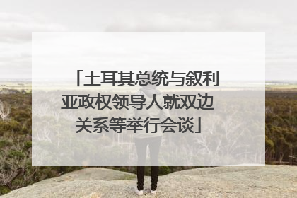 土耳其总统与叙利亚政权领导人就双边关系等举行会谈