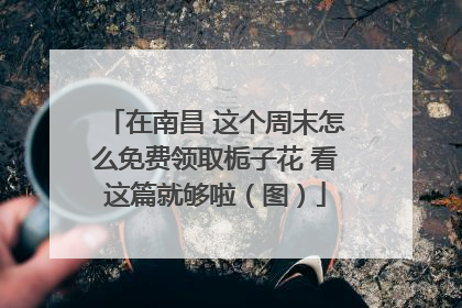 在南昌 这个周末怎么免费领取栀子花 看这篇就够啦（图）