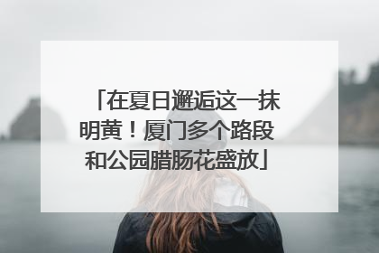 在夏日邂逅这一抹明黄！厦门多个路段和公园腊肠花盛放