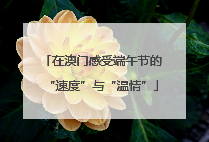 在澳门感受端午节的“速度”与“温情”