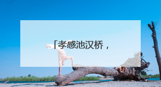 孝感池汉桥，上榜“中国好人榜”候选人