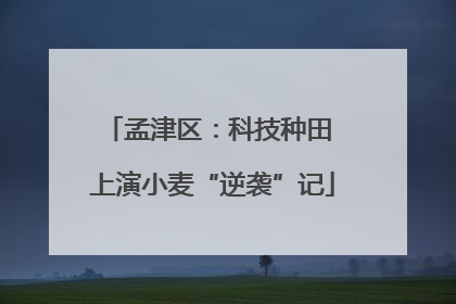 孟津区：科技种田 上演小麦“逆袭”记