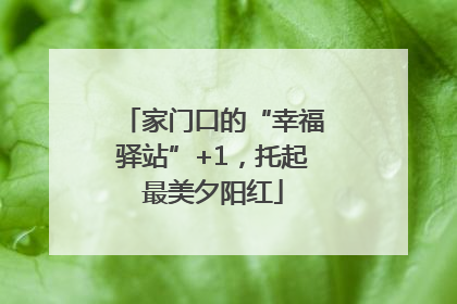 家门口的“幸福驿站”+1，托起最美夕阳红
