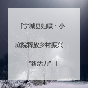 宁城县妇联：小庭院释放乡村振兴“新活力”