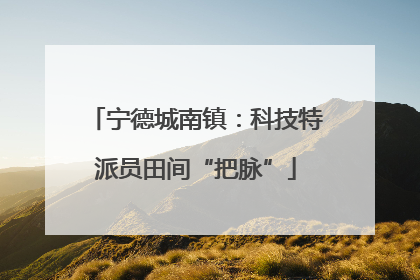 宁德城南镇：科技特派员田间“把脉”