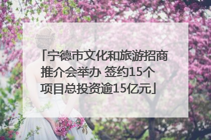 宁德市文化和旅游招商推介会举办 签约15个项目总投资逾15亿元