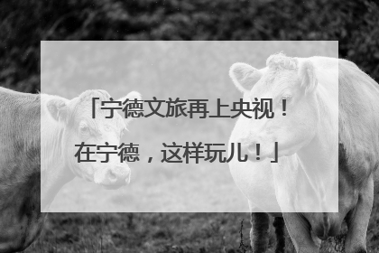 宁德文旅再上央视！在宁德，这样玩儿！