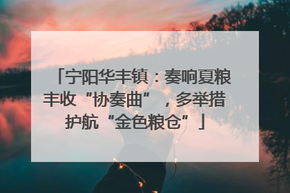 宁阳华丰镇：奏响夏粮丰收“协奏曲”，多举措护航“金色粮仓”