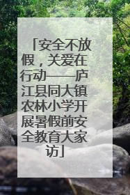 安全不放假，关爱在行动——庐江县同大镇农林小学开展暑假前安全教育大家访