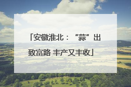 安徽淮北：“蒜”出致富路 丰产又丰收