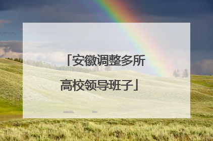 安徽调整多所高校领导班子