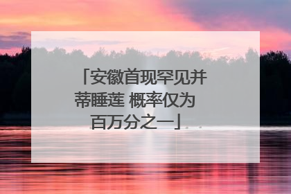 安徽首现罕见并蒂睡莲 概率仅为百万分之一
