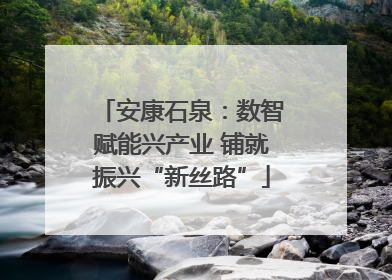安康石泉：数智赋能兴产业 铺就振兴“新丝路”
