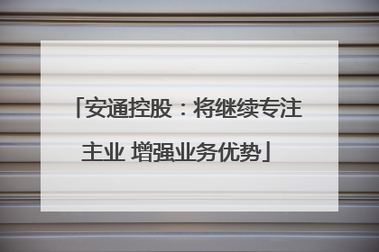 安通控股：将继续专注主业 增强业务优势