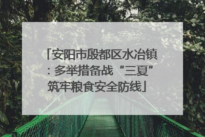 安阳市殷都区水冶镇：多举措备战“三夏” 筑牢粮食安全防线