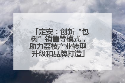 定安：创新“包树”销售等模式，助力荔枝产业转型升级和品牌打造