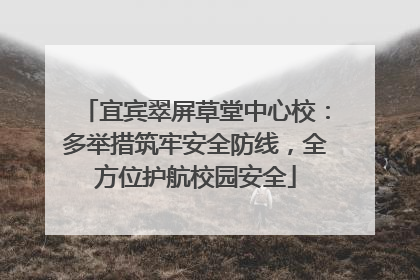 宜宾翠屏草堂中心校：多举措筑牢安全防线，全方位护航校园安全