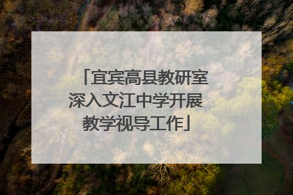 宜宾高县教研室深入文江中学开展教学视导工作
