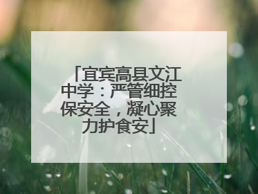 宜宾高县文江中学：严管细控保安全，凝心聚力护食安