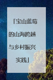 宝山蓝莓的山海跨越与乡村振兴实践