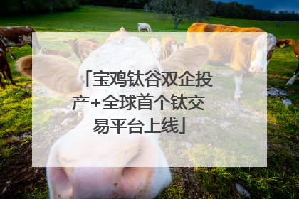 宝鸡钛谷双企投产+全球首个钛交易平台上线