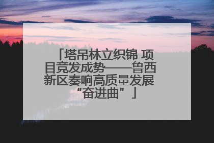 塔吊林立织锦 项目竞发成势——鲁西新区奏响高质量发展“奋进曲”