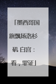 墨西哥国旗飘扬洛杉矶 白宫：看，罪证